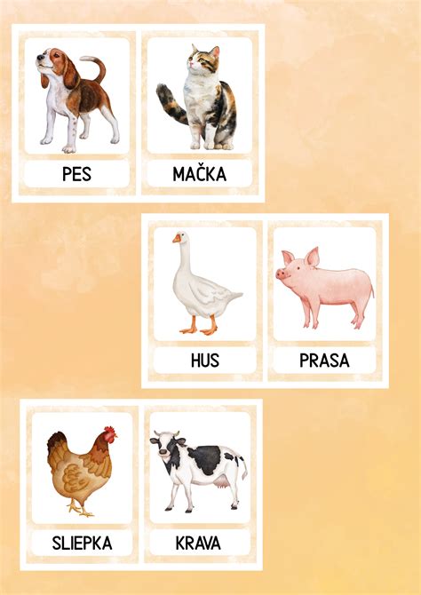 Ilustrácia rôznych zvierat vhodných na spoznávanie deťmi