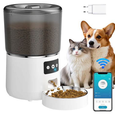 Ilustračná fotografia psa s miskou krmiva