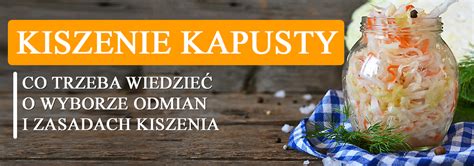 Proces krájania a solenia kapusty