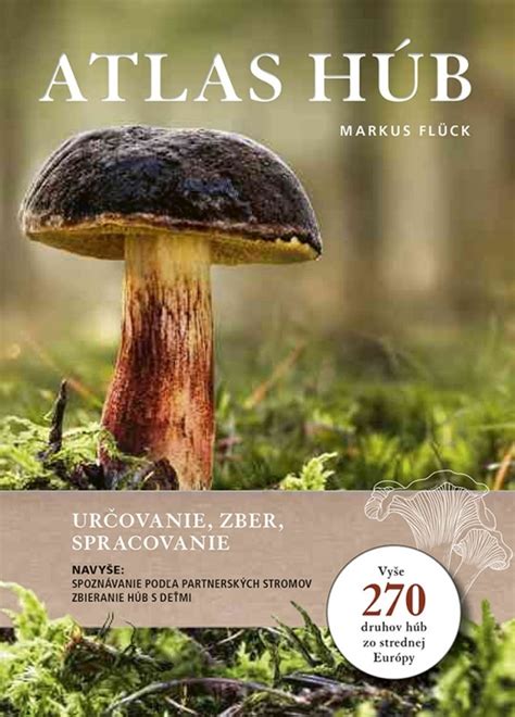 Ilustrácia správneho krájania húb