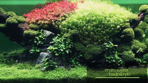 Rôzne druhy substrátov pre akváriá