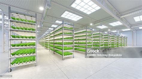 interiér farmy s produktami