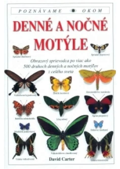 Ilustrácia rôznych druhov denných a nočných motýľov