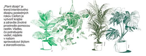 Ilustrácia rôznych druhov rezňov