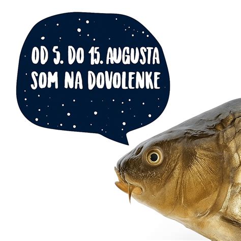 Ilustrácia čerstvého pstruha