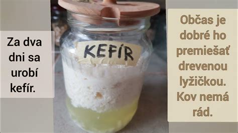 Štruktúra kefírových zŕn