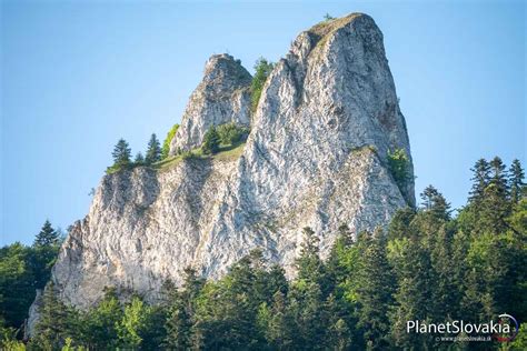 Vrchol Tri Koruny v Pieninách