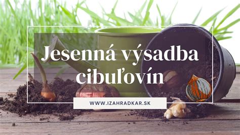 Správna hĺbka výsadby papriky
