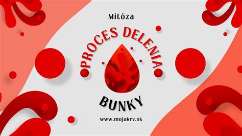 Proces delenia mäsa
