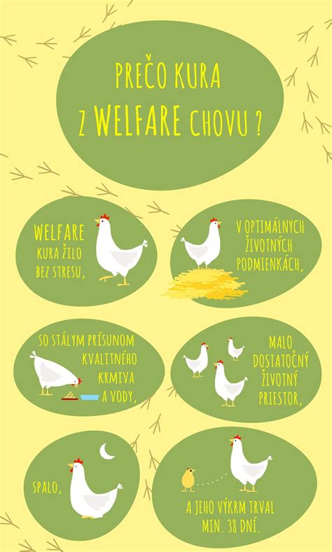 Ilustrácia welfare chovu hydiny