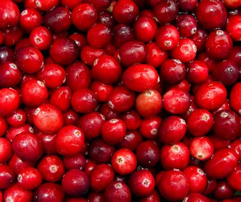 Brusnice a ich zdravotné benefity