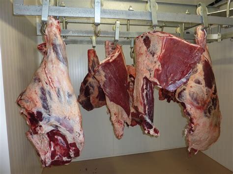 Ilustrace srovnání suchého a mokrého zrání masa