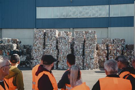 Proces zberu a spracovania tekvicových jadierok