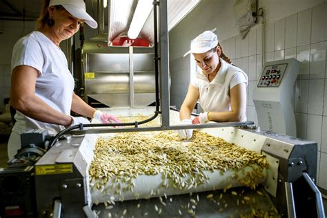 Sušenie tekvicových jadierok