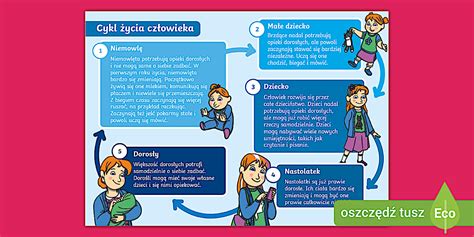 Infografika životného cyklu kurčaťa
