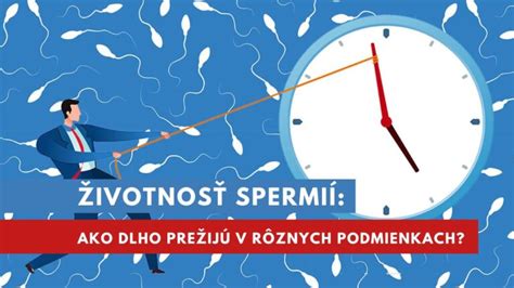 Životnosť spermií v ženskom tele