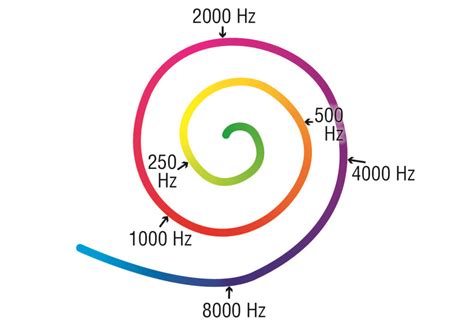 graf frekvencie slov v korpuse
