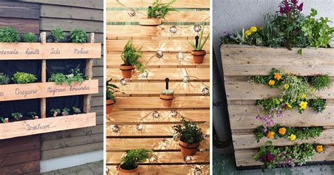 Kvetináče z drevených paliet a starých sudov
