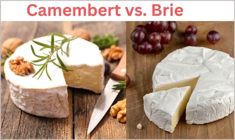 Syra Brie a Camembert