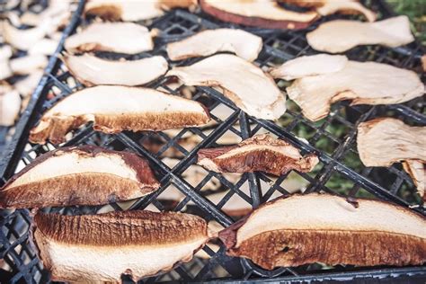 Ručne formované oštiepky pripravené na sušenie