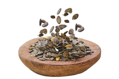 Štruktúra ľanového semienka