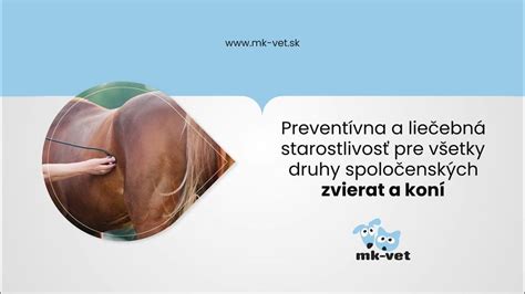 Veterinárny lekár vykonáva kožný test