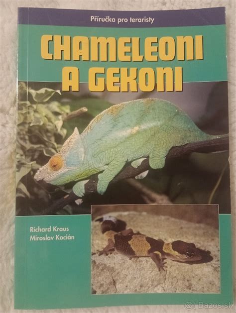 Ilustrácia druhov chameleónov