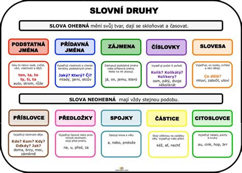 Obrázok znázorňujúci rôzne druhy probiotík a ich účinky