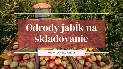 Ideálne prostredie pre skladovanie jabĺk