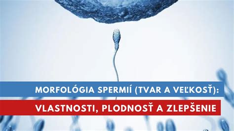 Ilustrácia mužskej plodnosti a spermií