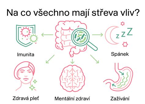 Infografika o vplyve stravy na kvalitu spermií