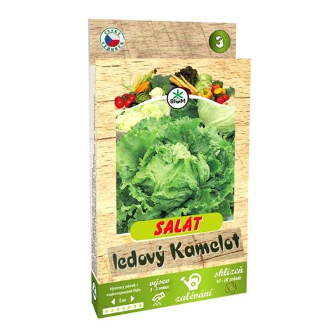 Výsev semien šalátu
