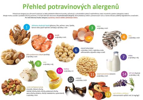Infografika s prehľadom alergénov v potravinách