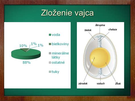 štruktúra slepačieho vajca
