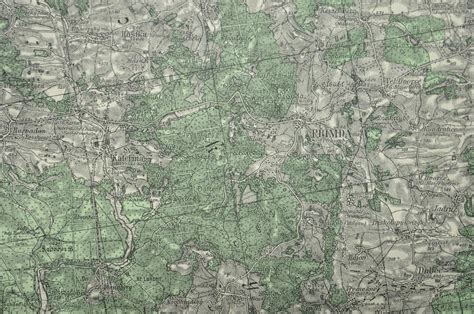 Mapa tajomného lesa