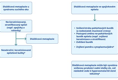 Schéma rozlíšenia suchého a vlhkého kašľa