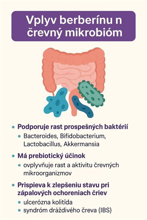 Infografika zobrazujúca účinky feniklu na zdravie
