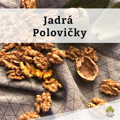 Obrázok rôznych druhov orechov