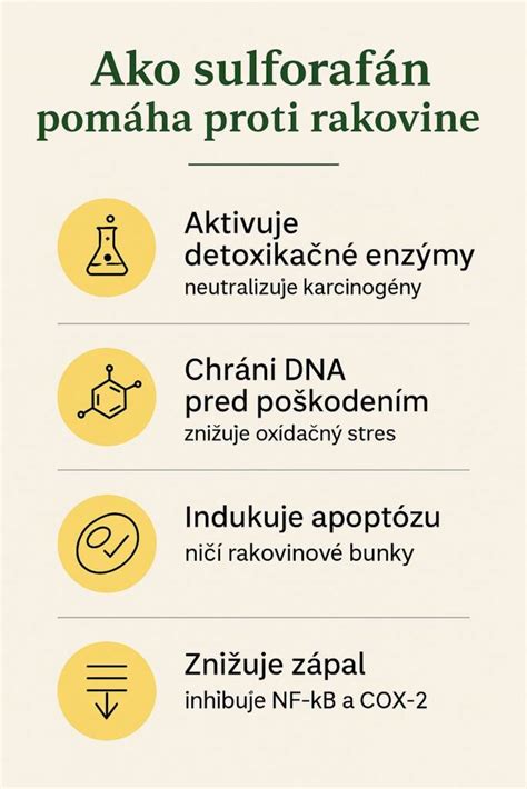 Infografika zobrazujúca hlavné liečivé účinky feniklu
