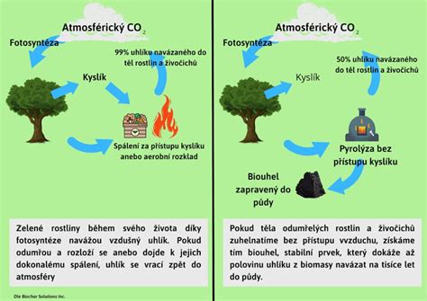 Schéma samočistiaceho cyklu pyrolýzy