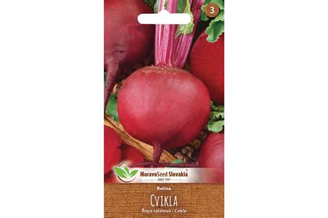 Ilustrácia varenia a šúpania cvikly