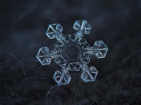 Wilson Alwyn Bentley a jeho fotografie snehových vločiek