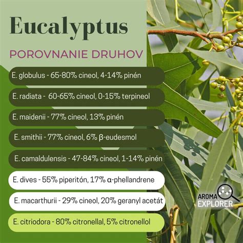 Infografika znázorňujúca potenciálne nežiaduce účinky kokosového oleja