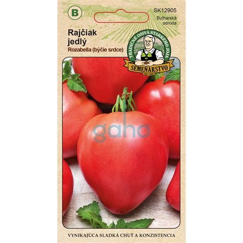 Kolíkový rajčiak priviazaný k opore