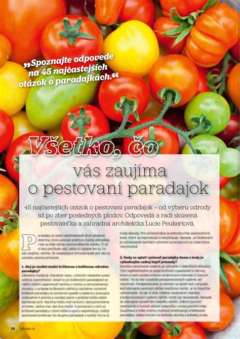 infografika o pestovaní paradajok