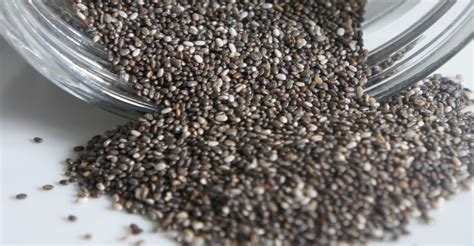 Ilustrácia chia semienok