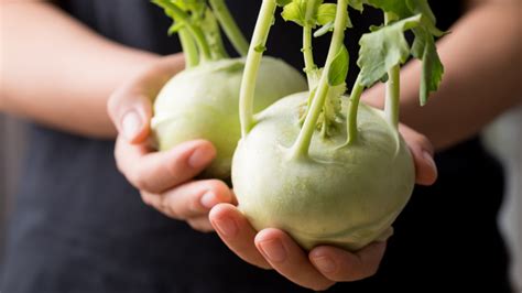 Kaleráb ako surovina