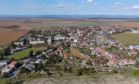 Zlaté klasy špaldy