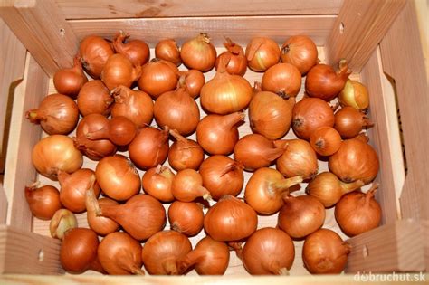 Správne skladovanie sušenej cibule v hermetických nádobách