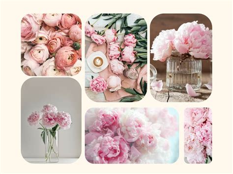 Koláž rôznych spôsobov zdobenia kávového koláča